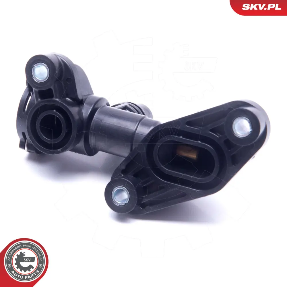 Termostato per BMW X6 (E71 E72) X5 (E70) 17 10 7 558 267