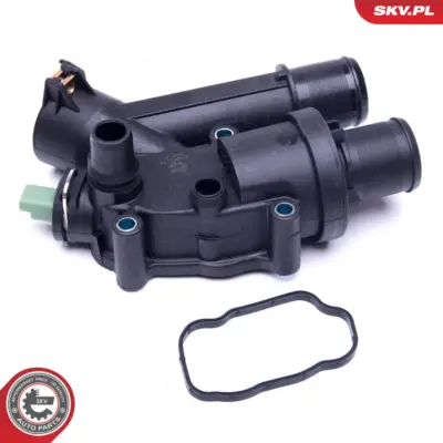 Termostato per Citroën C5 III Break C5 III C5 II C6 C8 C-crosser 1336Z4