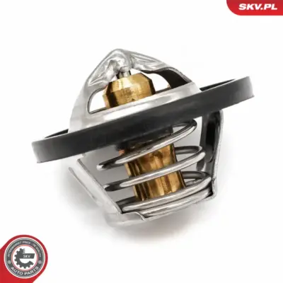 Termostato per Ford Fiesta VI (CB1) C-max II (DXA) Focus III Fiesta V 1 306 004