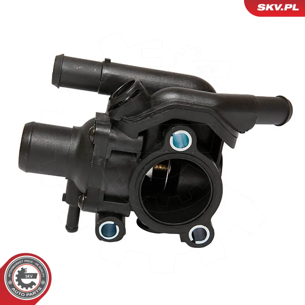 Termostato per Ford Focus I (DAW DBW) Focus I Saloon (DFW) Maverick 1001993