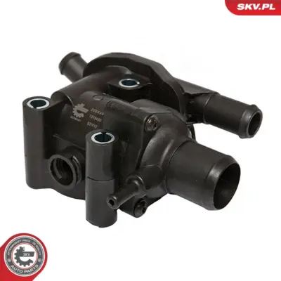 Termostato per Ford Focus I (DAW DBW) Focus I Saloon (DFW) Maverick 1001993