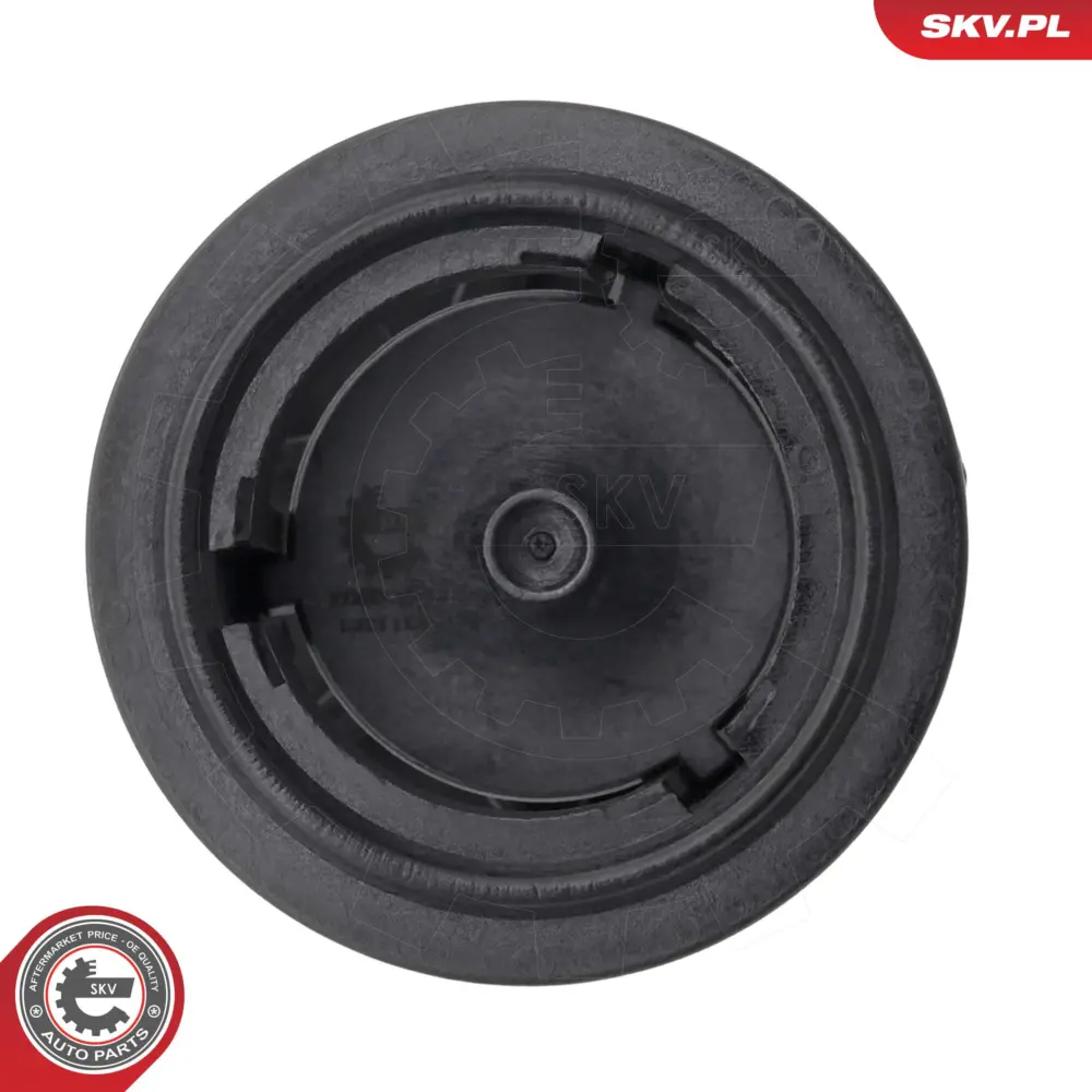 Termostato per Mini Mini Countryman (R60) Mini Paceman (R61) 11 51 7 805 192