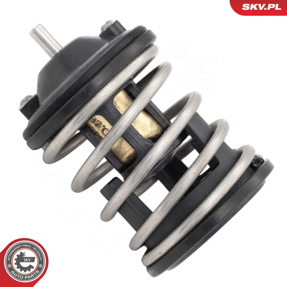 Termostato per Mini Mini Countryman (R60) Mini Paceman (R61) 11 51 7 805 192