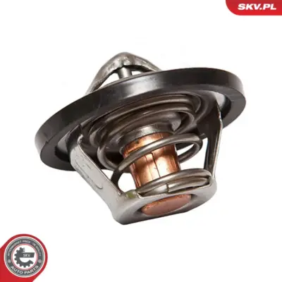 Termostato per Opel Corsa A Hatchback (S83) Kadett E Estate (T85) 036121113