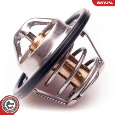 Termostato per Renault Clio II (BB_ CB_) Duster (HS_) Laguna II (BG0 1_) 4408398