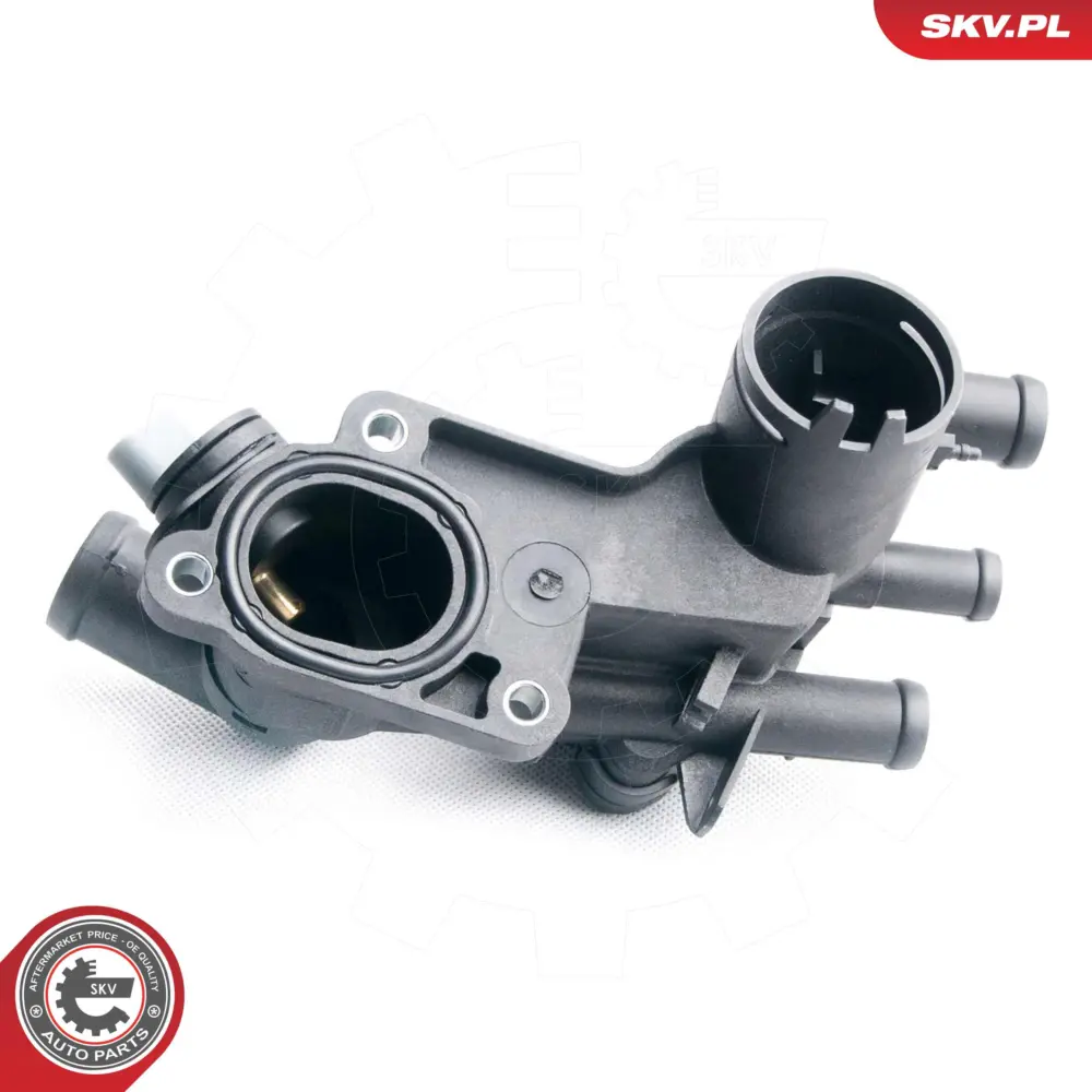 Termostato per Skoda Fabia I (6Y2) Fabia I Combi (6Y5) 032121111AP
