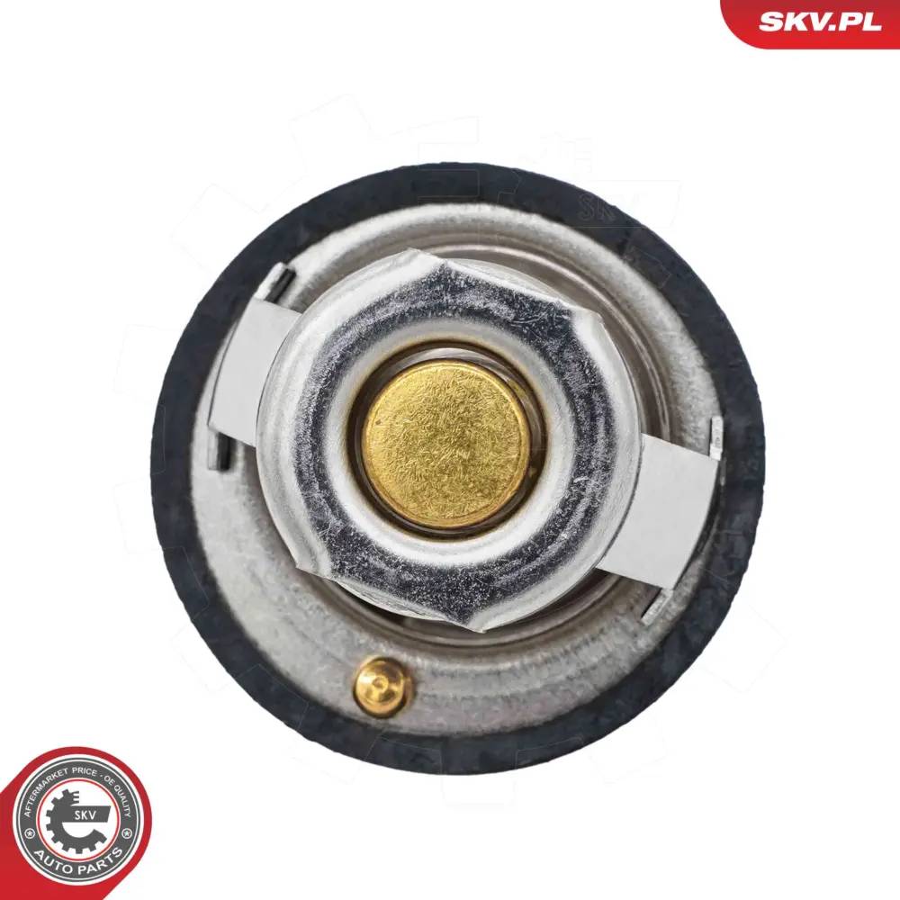 Termostato per Suzuki Wagon R+ Hatchback (EM) Alto IV (EF) Alto V 17670A78B01