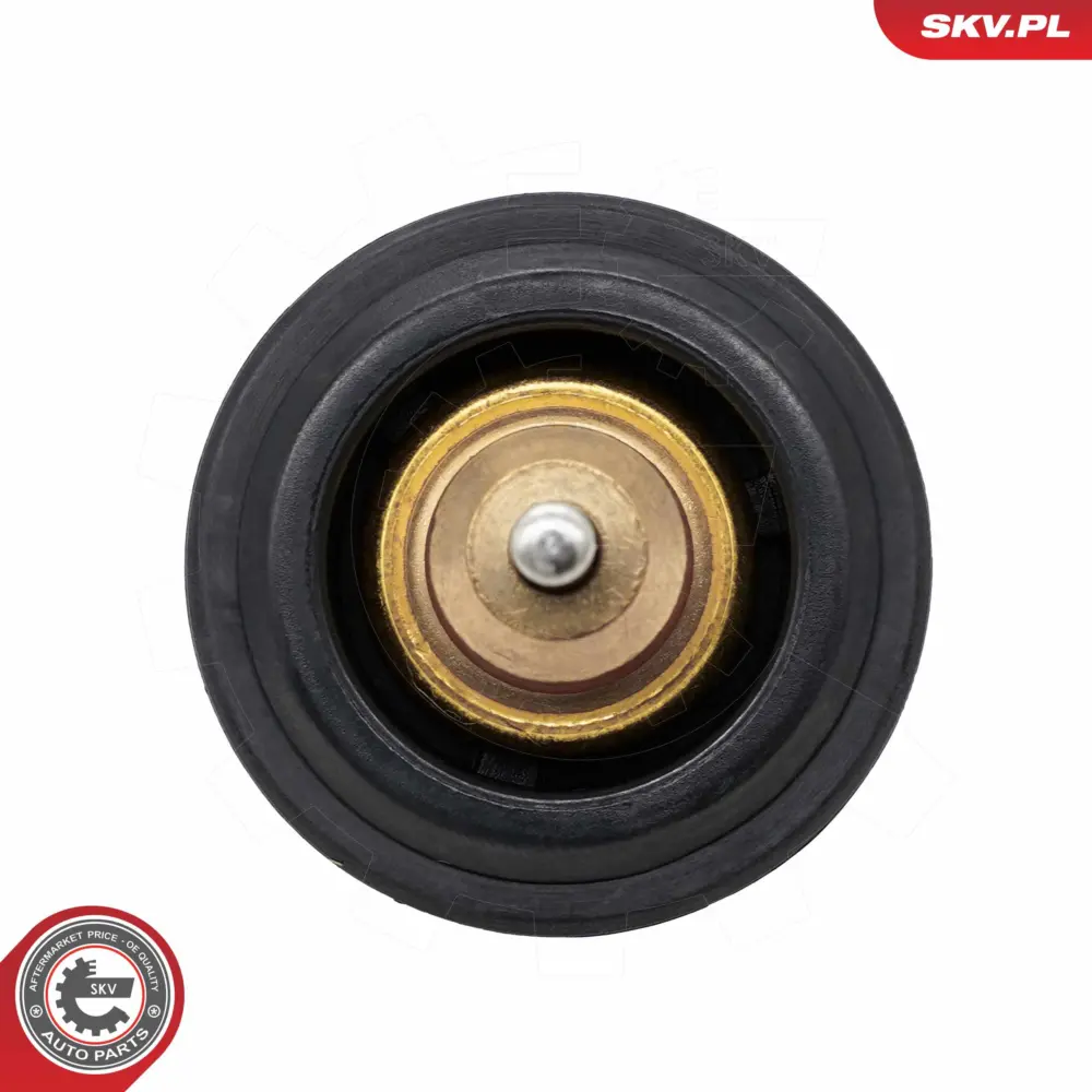 Termostato per VW Golf VII (5G1 BQ1) Golf VII Variant (BA5 BV5) 04E 121 113 G
