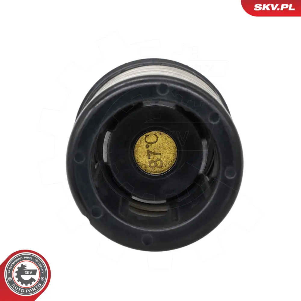 Termostato per VW Golf VII (5G1 BQ1) Golf VII Variant (BA5 BV5) 04E 121 113 G