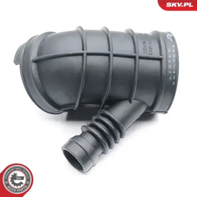 Tubo di aspirazione per BMW Serie 3 (E46) 5 (E39) Z3 (E36) 7 (E38) 13541435627