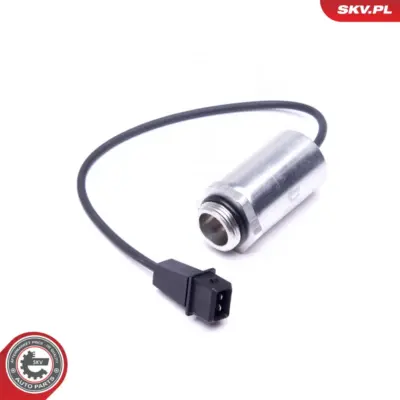 Valvola comando, Regolazione albero per BMW Serie 3 (E36) 5 (E34) 11361703720