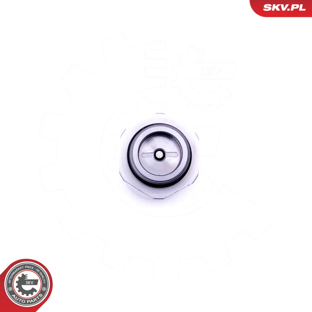 Valvola comando, Regolazione albero per BMW Serie 5 (E60) 3 (E46) 11361432532