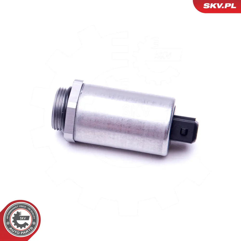 Valvola comando, Regolazione albero per BMW Serie 5 (E60) 3 (E46) 11361432532