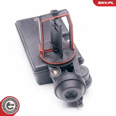 Valvola controllo aria per BMW Serie 3 (E46) 5 (E39 E60) Z3 (E36) 11617502275