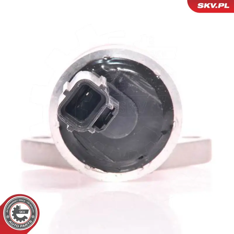 Valvola controllo minimo per Ford Fiesta IV Puma 1030996