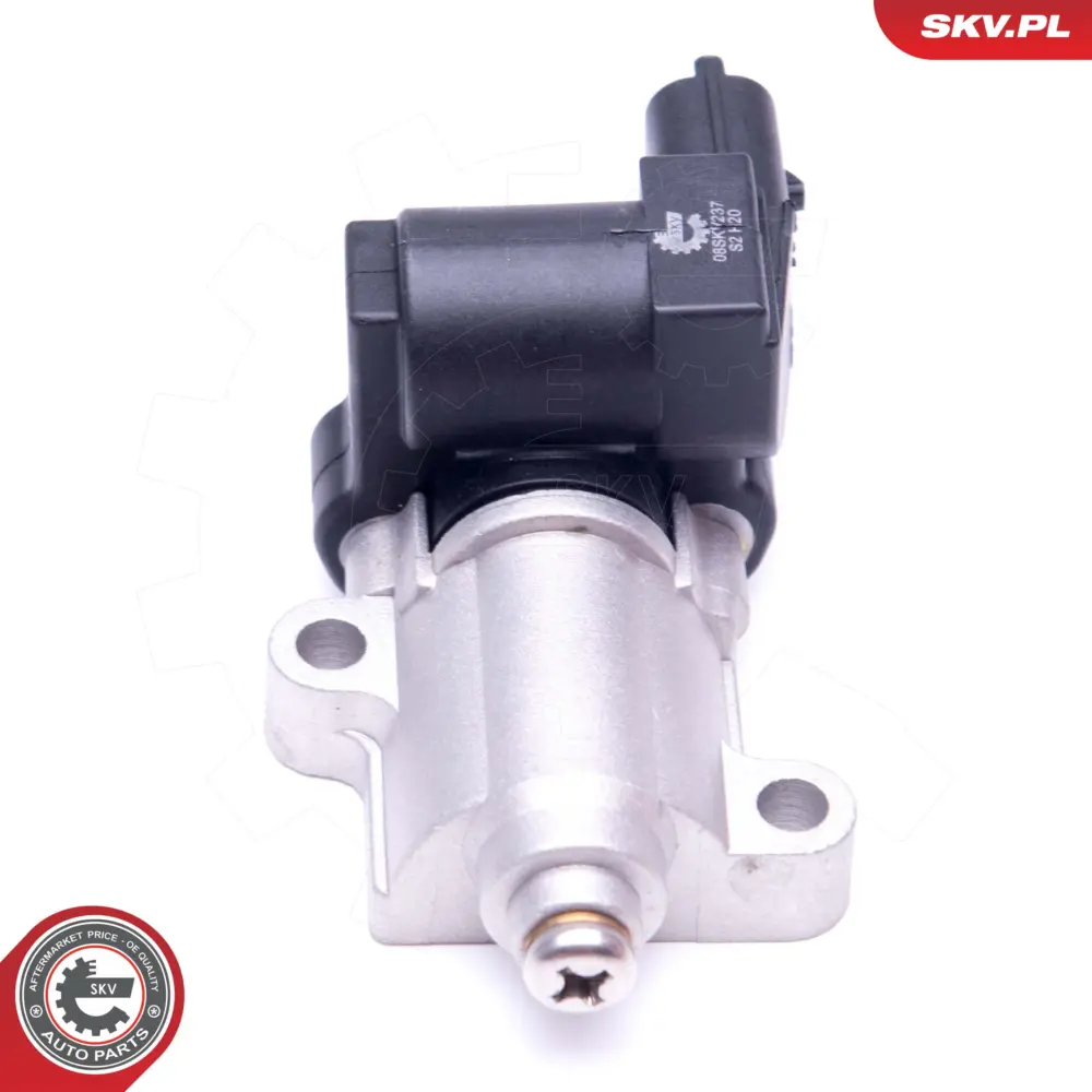 Valvola controllo minimo per Hyundai Tucson (JM) Trajet (FO) 138616