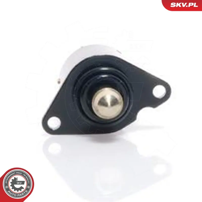 Valvola controllo minimo per Peugeot Partner Box Body/MPV (5_) 306 (7B) 19209L