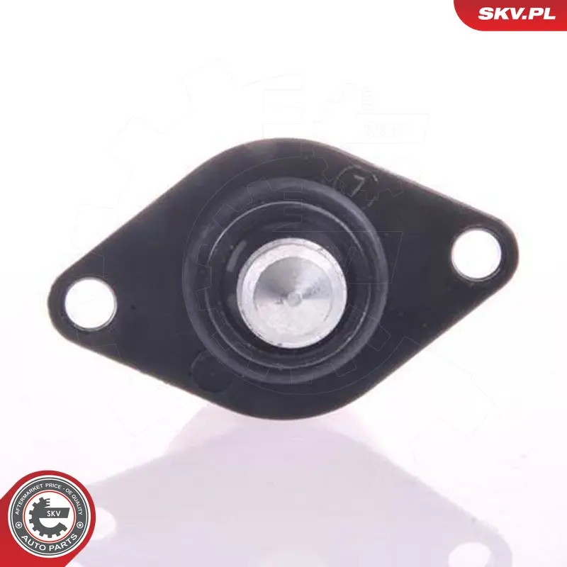 Valvola controllo minimo per Renault Megane I (BA0) 19 II (B) 7701206370