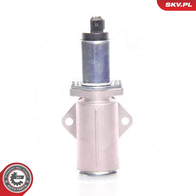 Valvola controllo minimo per Renault Megane I Classic (LA0 1_) 138676