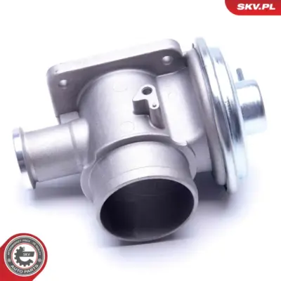 Valvola EGR per BMW Serie 3 (E46 E90) 5 (E39) 7 (E38 E65) X5 (E53) 11712248717