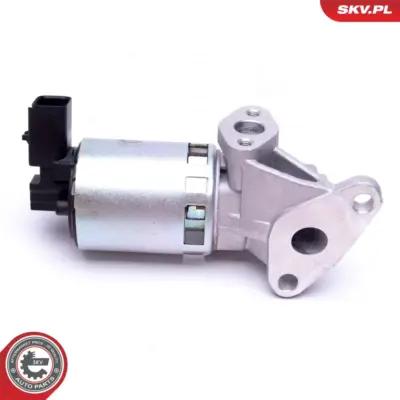 Valvola EGR per Dodge RAM 1500 Crew Cab Pickup RAM 2500 Pickup (D1) 53032509AE