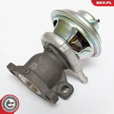 Valvola EGR per Fiat Ducato Platform/Chassis Ducato Bus Ducato Van 504150396