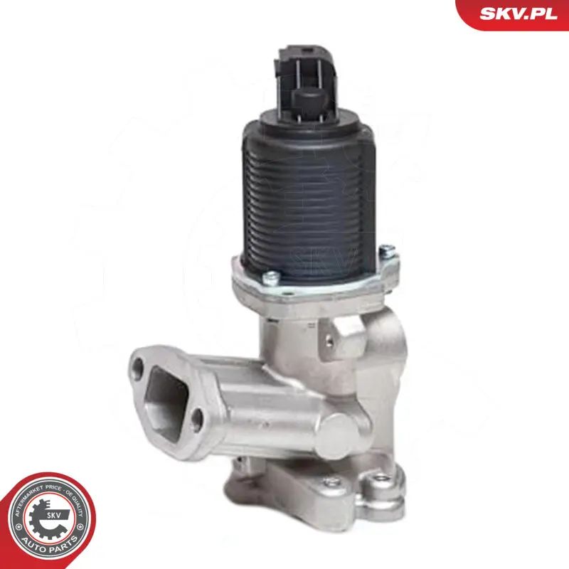 Valvola EGR per Fiat Idea Idea Van; Lancia Musa 55206932