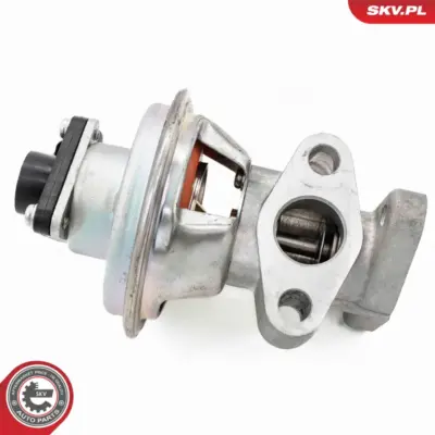 Valvola EGR per Ford Ranger (ER EQ) 1351240