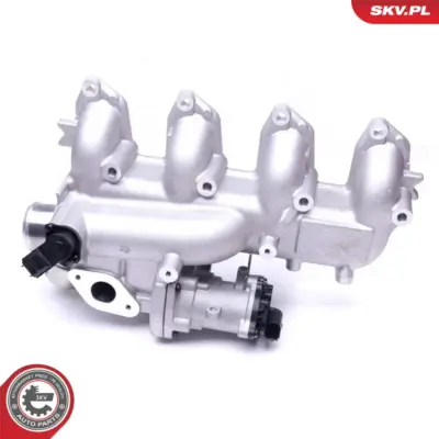 Valvola EGR per Ford Tourneo Connect Transit Connect 1496876