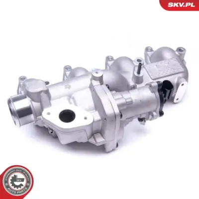 Valvola EGR per Ford Tourneo Connect Transit Connect Galaxy II (WA6) 1363422