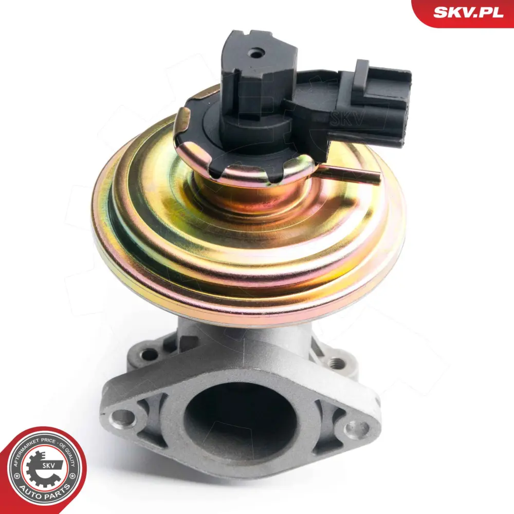 Valvola EGR per Ford Transit Bus Transit Platform/Chassis Transit Van 1120698