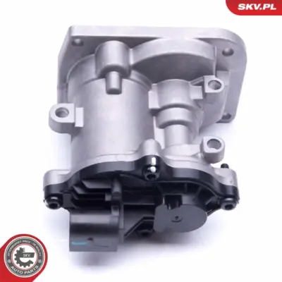 Valvola EGR per Ford Transit Connect Galaxy II (WA6) S-max (WA6) 1352475