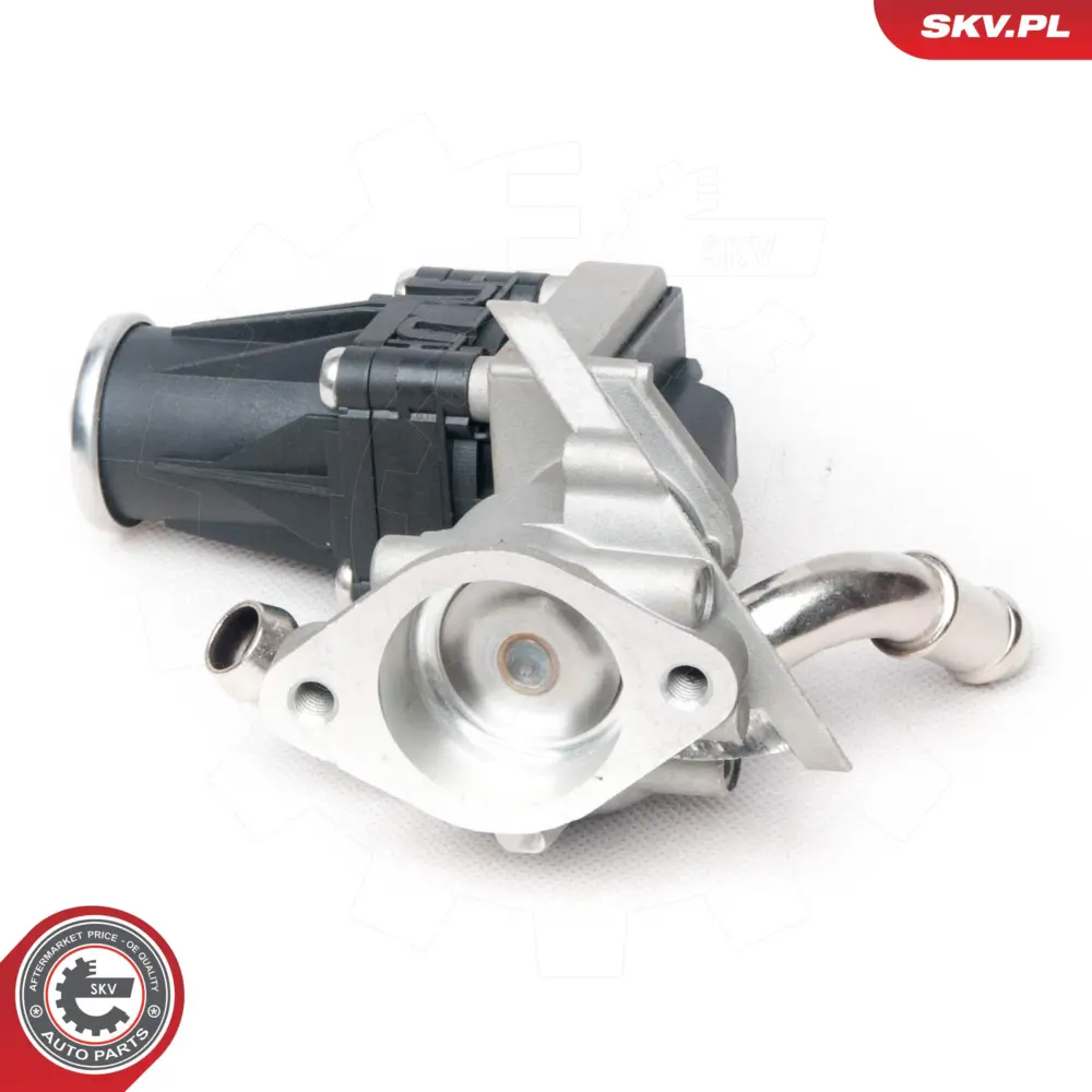Valvola EGR per Ford Transit Van (FA_) Transit Platform/Chassis (FM_) 9800555380