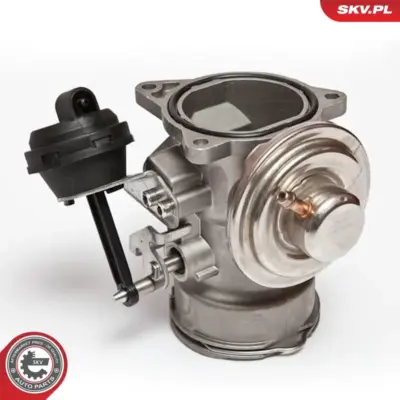 Valvola EGR per VW Bora I (1J2) Bora Variant (1J6) Golf IV (1J1) 038131501AT