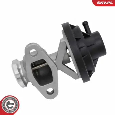Valvola EGR per VW Caddy III Box Body/MPV (2KA 2KH) Golf V (1K1) 038 131 501 AH