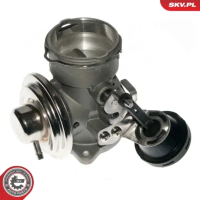Valvola EGR per VW NEW Beetle (9C1 1C1) 038131501N
