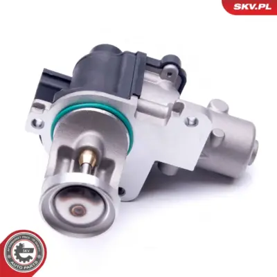Valvola EGR per VW Passat B6 (3C2) Passat B6 Variant (3C5) 038131501AD