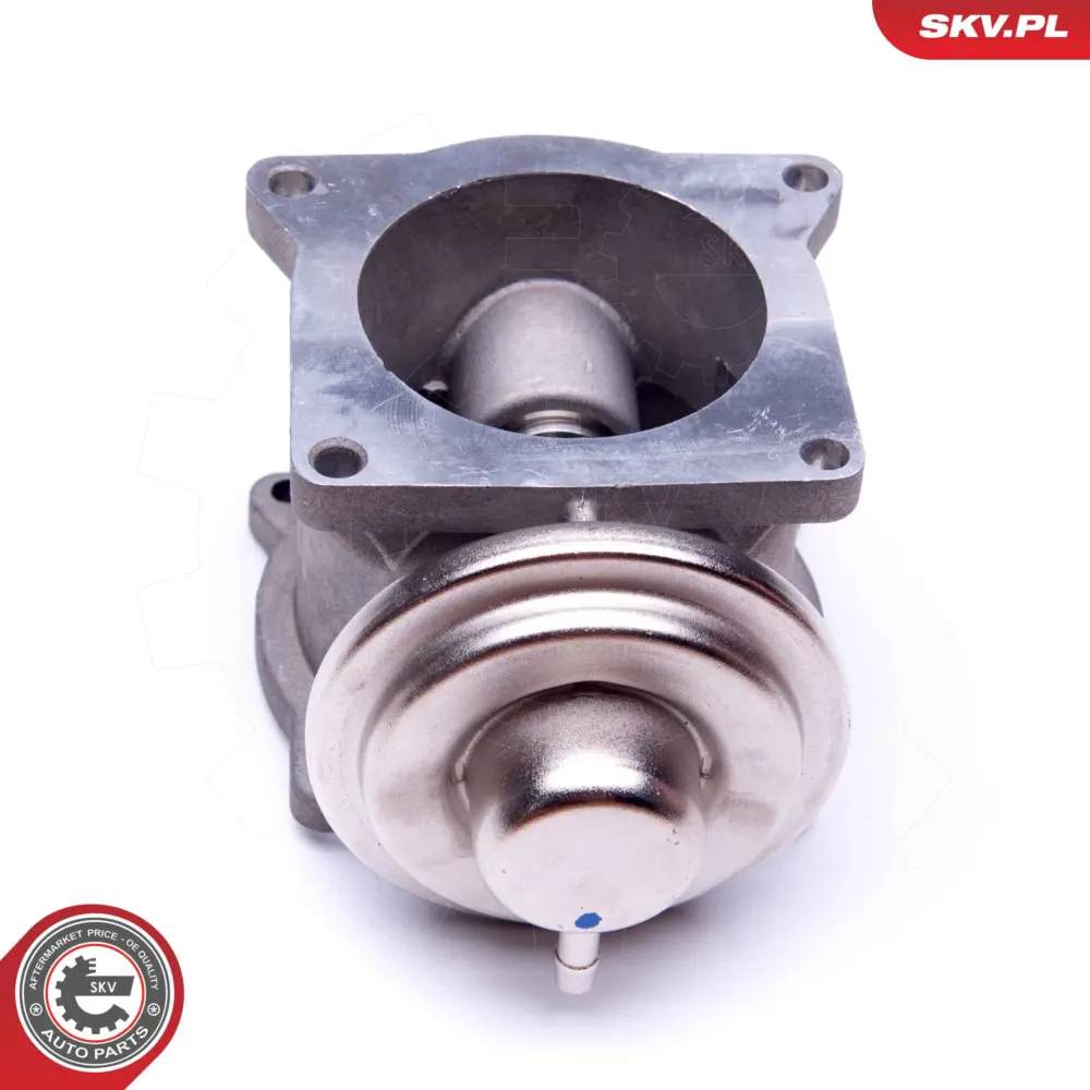 Valvola EGR per VW Phaeton (3D1 3D2 3D3 3D4) Touareg (7LA 7L6 7L7) 07Z131501A