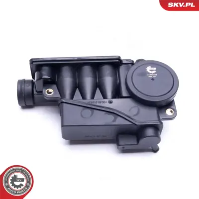 Valvola, sfiato del basamento per Audi R8 (422) A5 (8T3) A6 C6 (4F2) 079103464F