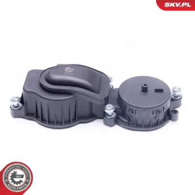 Valvola, sfiato del basamento per BMW Serie 5 (E39) 3 (E46) 7 (E38) 11127781465