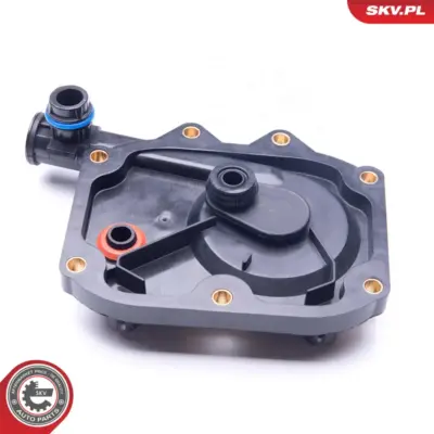 Valvola, sfiato del basamento per BMW Serie 5 (E39) 7 (E38) 8 (E31) 11611745103