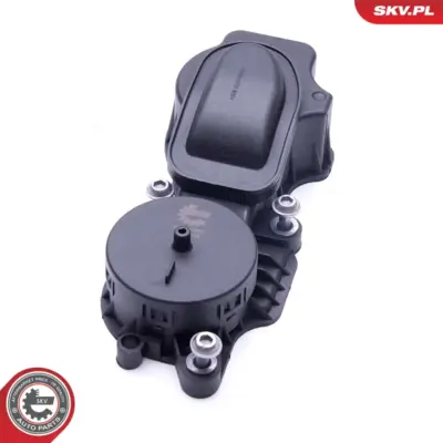 Valvola, sfiato del basamento per BMW Serie 5 (E60) 3 (E93) 7 (E65) 11127794597