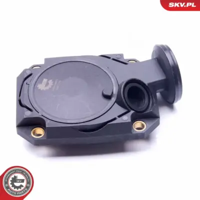 Valvola, sfiato del basamento per BMW Serie 7 (E38) 8 (E31) 11151736411