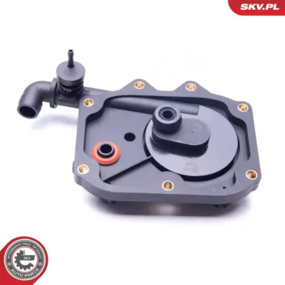 Valvola, sfiato del basamento per BMW X5 (E53) 11611438272