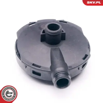 Valvola, sfiato olio per Audi A4 B6 (8E2) A4 B6 Avant (8E5) 06C103245