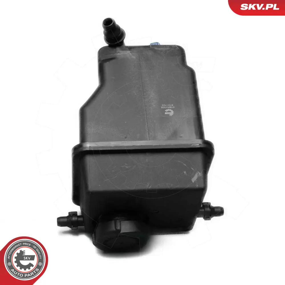 Vaschetta espansione compensazione, Refrigerante per BMW X5 (E53) 17137501959