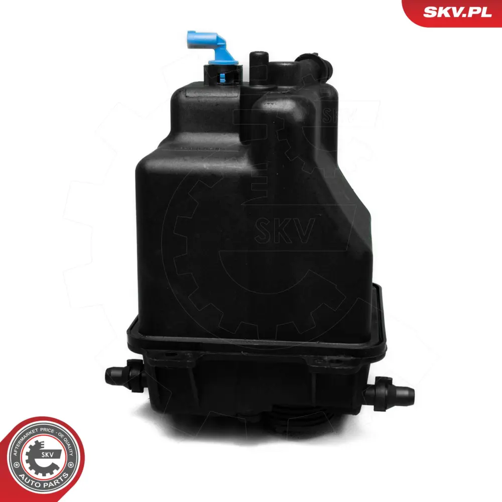 Vaschetta espansione compensazione, Refrigerante per BMW X5 (E53) 17137501959