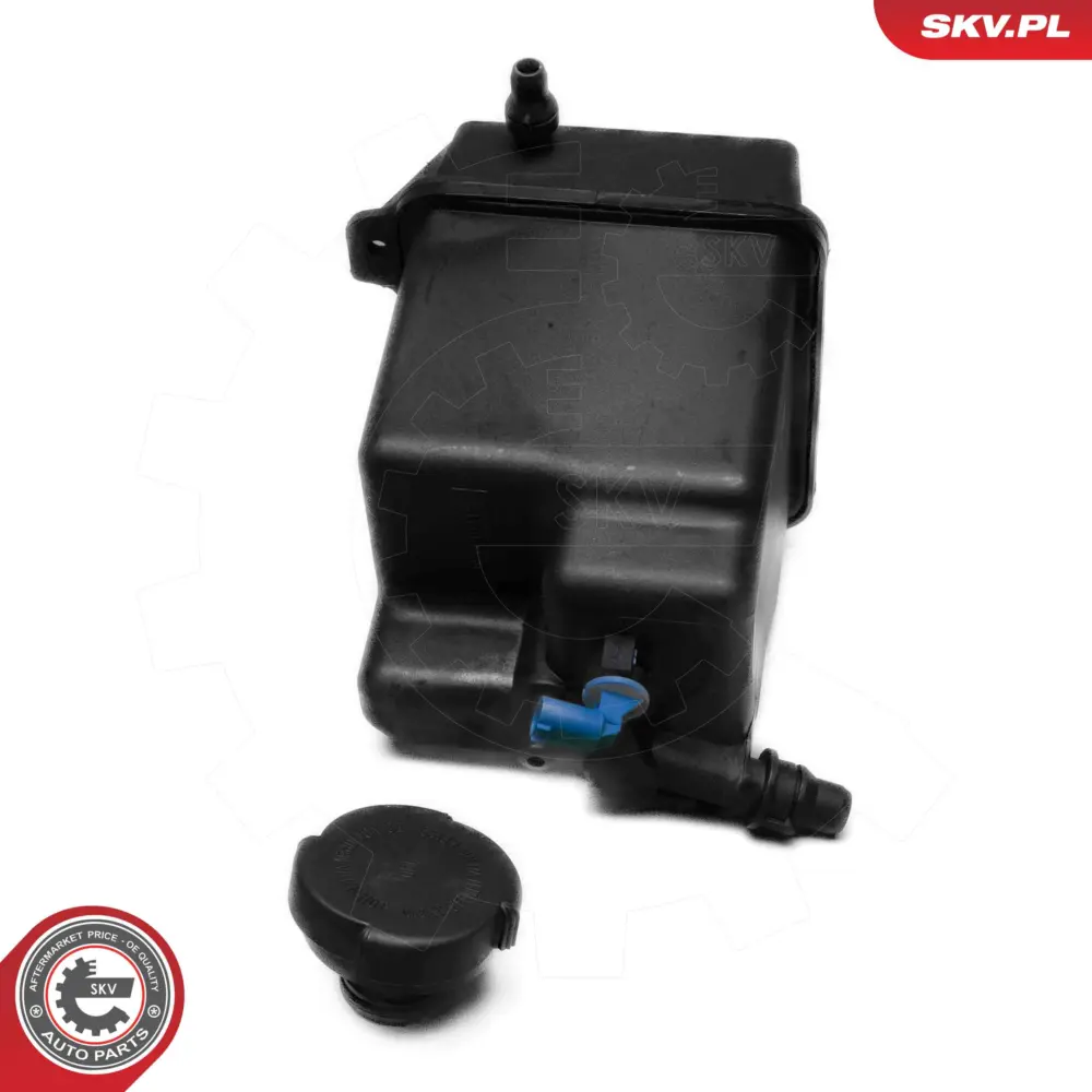 Vaschetta espansione compensazione, Refrigerante per BMW X5 (E53) 17137501959