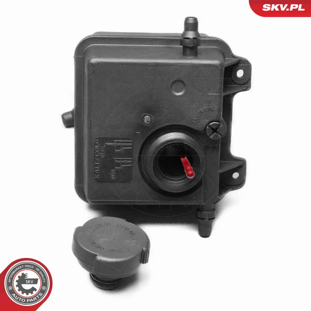 Vaschetta espansione compensazione, Refrigerante per BMW X5 (E53) 17137501959