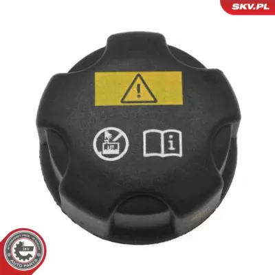 Vaschetta espansione Serbatoio Refrigerante per BMW Serie 2 (F45) 1711 7 639 024
